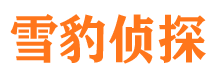 湛河市私家侦探